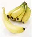 Bananermodenkg