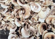 Huseby champignon skivet kg (best.vare)