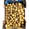 Potet nye små Reddal 10 kg/ks