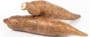 Cassava kg