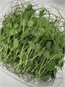 MicroZ pisello erter 90g pk
