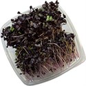 MicroZ rambo reddik 140g pk