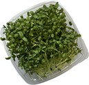 MicroZ solsikke 140 g pk